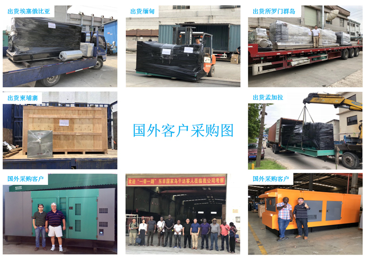 巴布亞新內(nèi)內(nèi)亞發(fā)電機(jī)