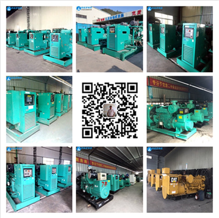 南非發(fā)電機(jī)、非洲發(fā)電機(jī)